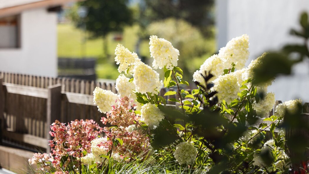 Blumen beim Haus Kristall